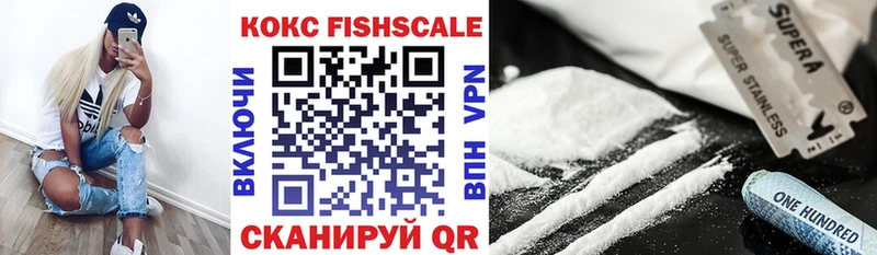 КОКАИН Fish Scale  Купить закладки  Дубна 
