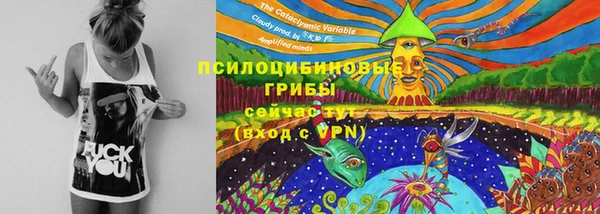 мет Сосновый Бор