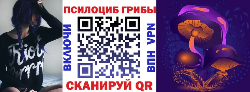 Псилоцибиновые грибы мухоморы  Купить закладки  Дубна 